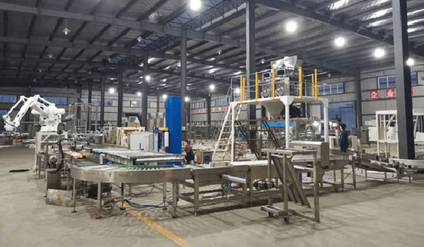 Automatic Palletizing Production Line2